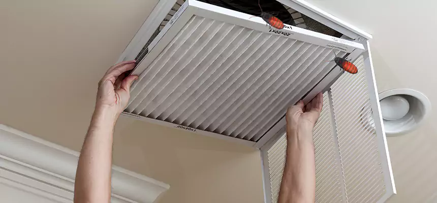 Preventive Cockroach-Proofing for Ducts in Sanger