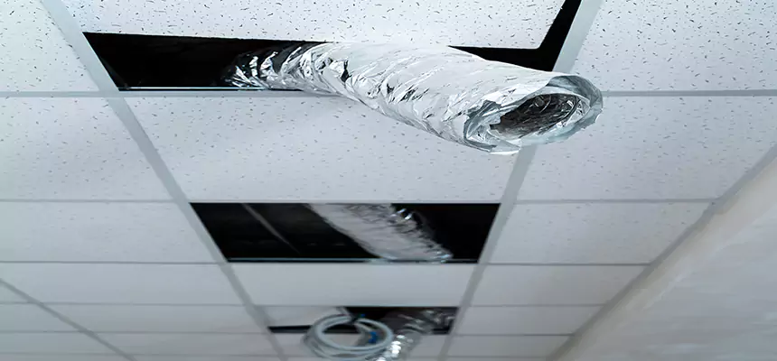 Our Air Duct Pet Hair Removal Services in Sanger, CA