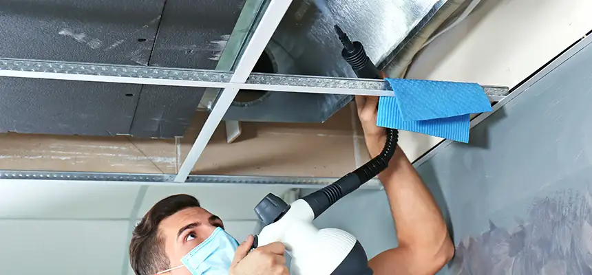 Our Air Duct Rodent Removal Services in Sanger, CA