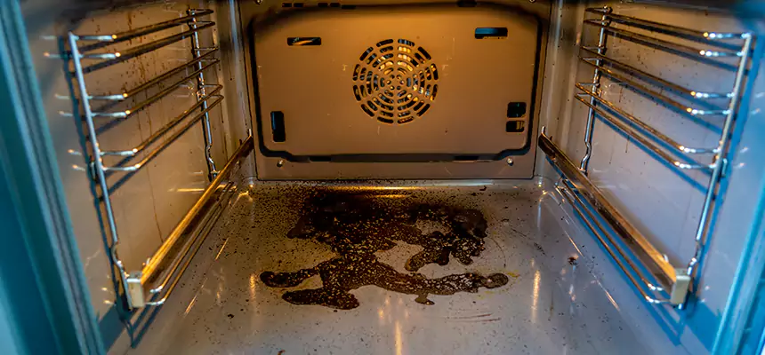 Our Dryer Vent Mold Cleaning Services in Sanger, CA