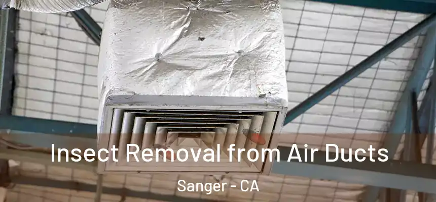 Insect Removal from Air Ducts Sanger - CA