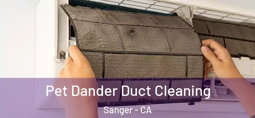  Pet Dander Duct Cleaning Sanger - CA
