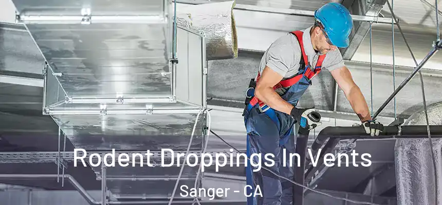 Rodent Droppings In Vents Sanger - CA