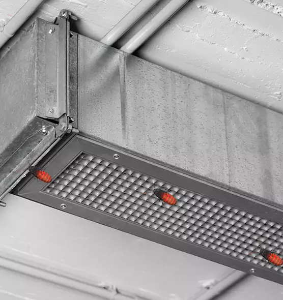 About Air Duct Cockroach Removal in Sanger, CA