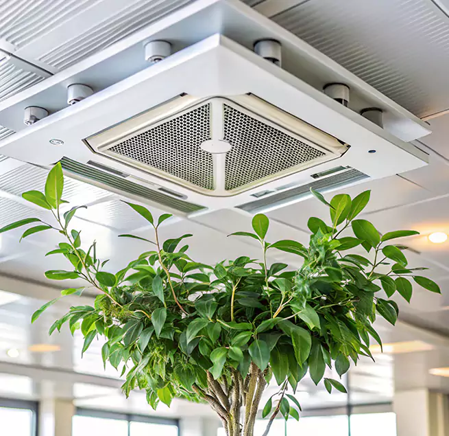 Why Homeowners & Businesses Trust Us in Sanger, CA